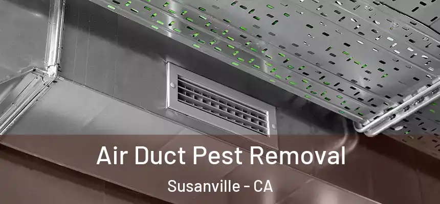  Air Duct Pest Removal Susanville - CA