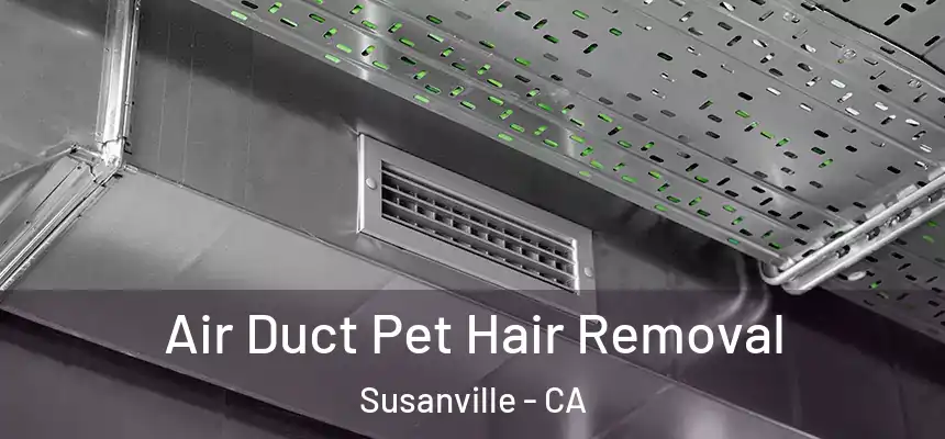  Air Duct Pet Hair Removal Susanville - CA