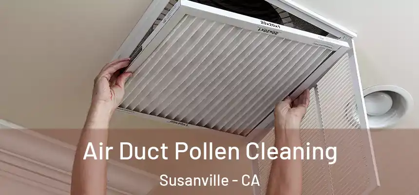  Air Duct Pollen Cleaning Susanville - CA