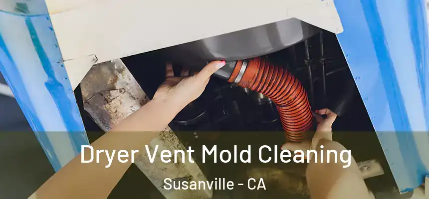  Dryer Vent Mold Cleaning Susanville - CA
