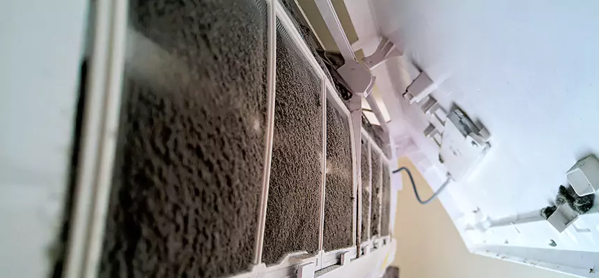 Preventive Air Duct Bacteria Removal in Susanville