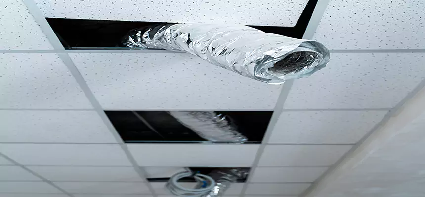 Our Air Duct Pet Hair Removal Services in Susanville, CA