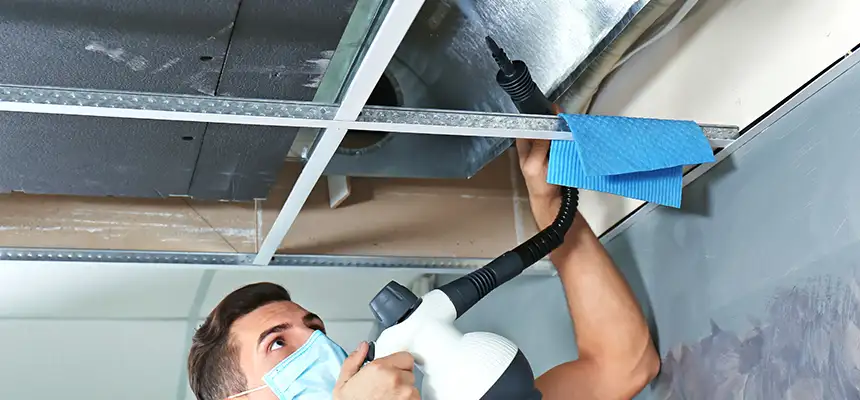Our Air Duct Rodent Removal Services in Susanville, CA