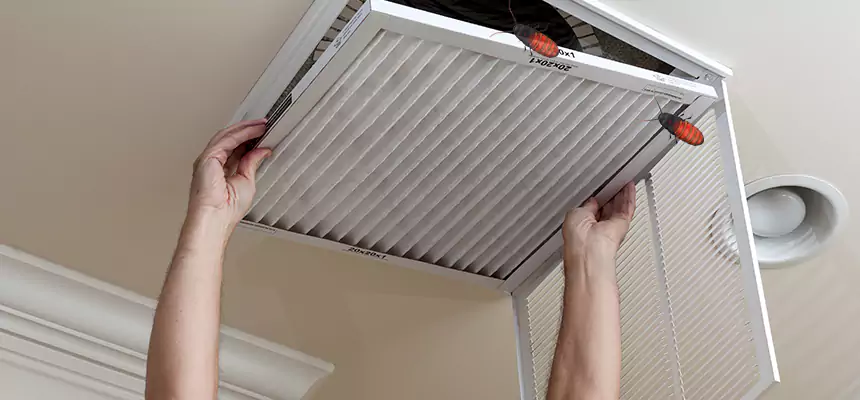 Our Insect Removal from Air Ducts Services in Susanville, CA