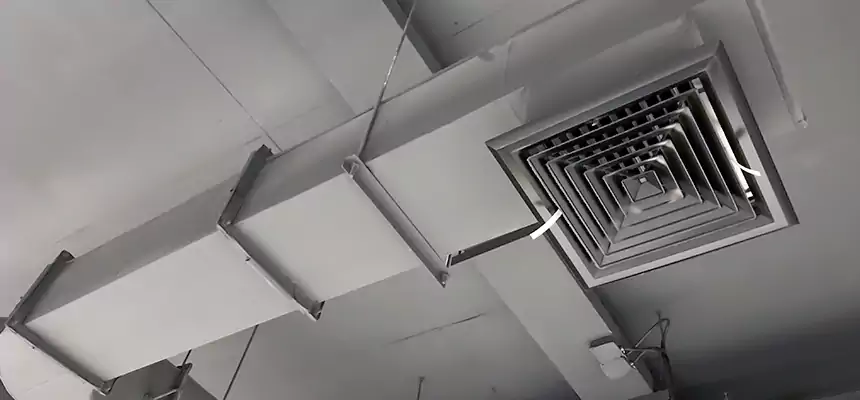 Our Pest Removal From Ducts Services in Susanville, CA