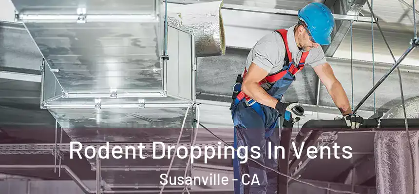  Rodent Droppings In Vents Susanville - CA