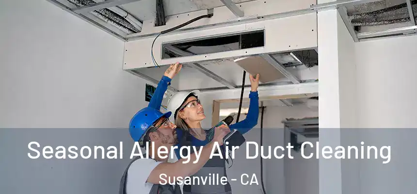  Seasonal Allergy Air Duct Cleaning Susanville - CA