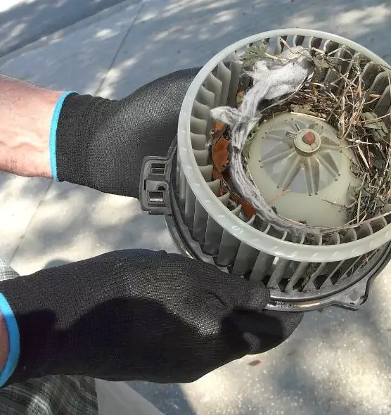 About Air Duct Rat Removal in Susanville, CA