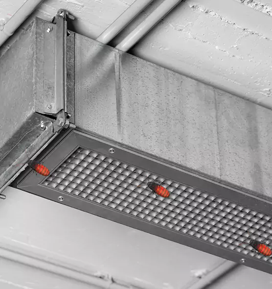Affordable Insect Removal from Air Ducts in Susanville, CA