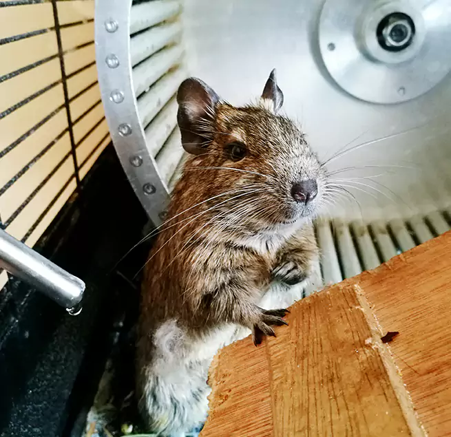 Why Homeowners & Businesses Trust Us Susanville, CA