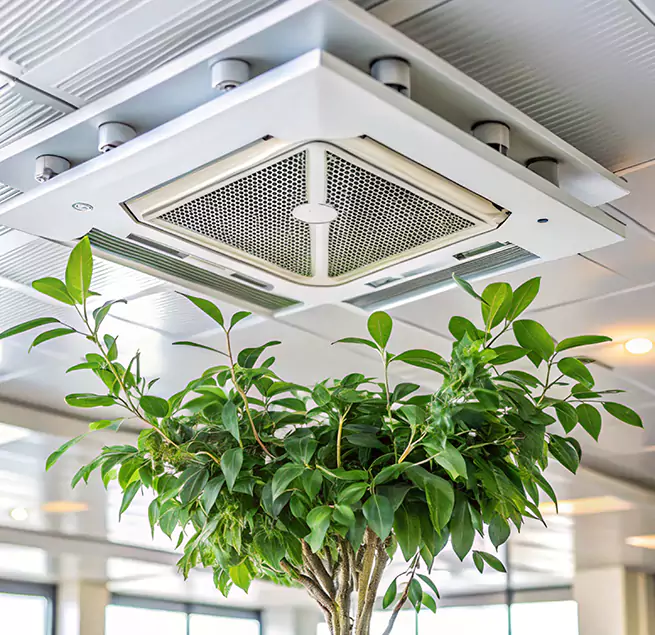 Why Homeowners & Businesses Trust Us in Susanville, CA